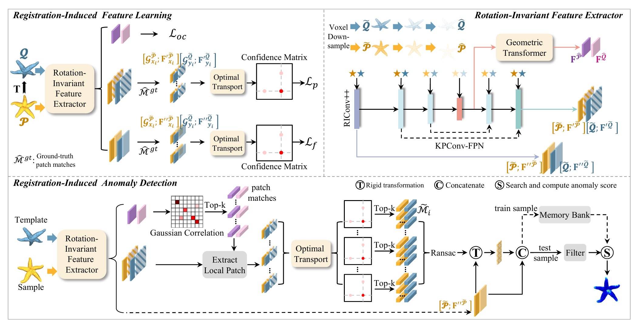 Registration is a Powerful Rotation-Invariance Learner for 3D Anomaly Detection